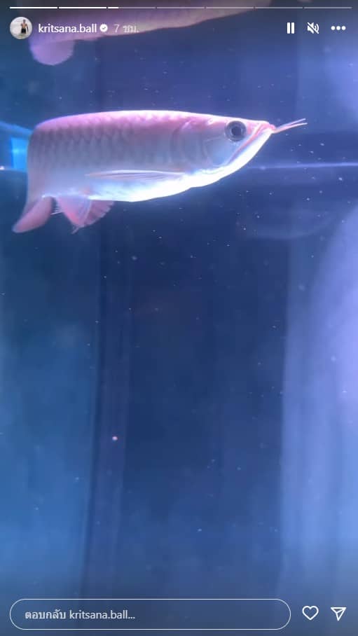 บอล กฤษณะ สตอรี่ไอจี 2023