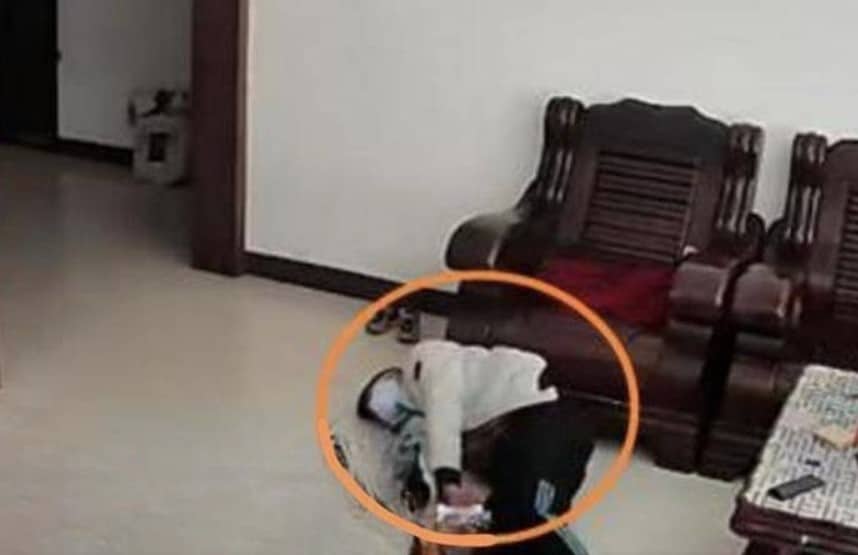 บังคับลูกเรียน มากเกินไป พ่อแม่จีน ลูก 10 ขวบ