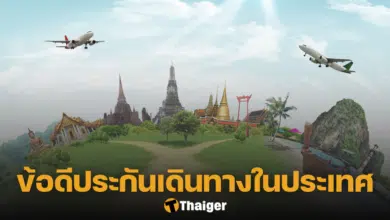 ประกันการเดินทาง ในประเทศ