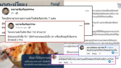 ปังชาลูกไก่ทอง