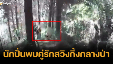 ปั่นจักรยานคู่รักกลางป่า