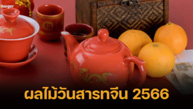 ผลไม้วันสารทจีน 2566 ไหว้บรรพบุรุษ