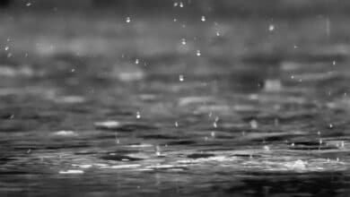 พยากรณ์ อากาศ ล่วงหน้า 10 วัน