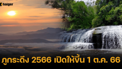 ภูกระดึง 2566 เปิดให้ขึ้น 1 ต.ค. 66
