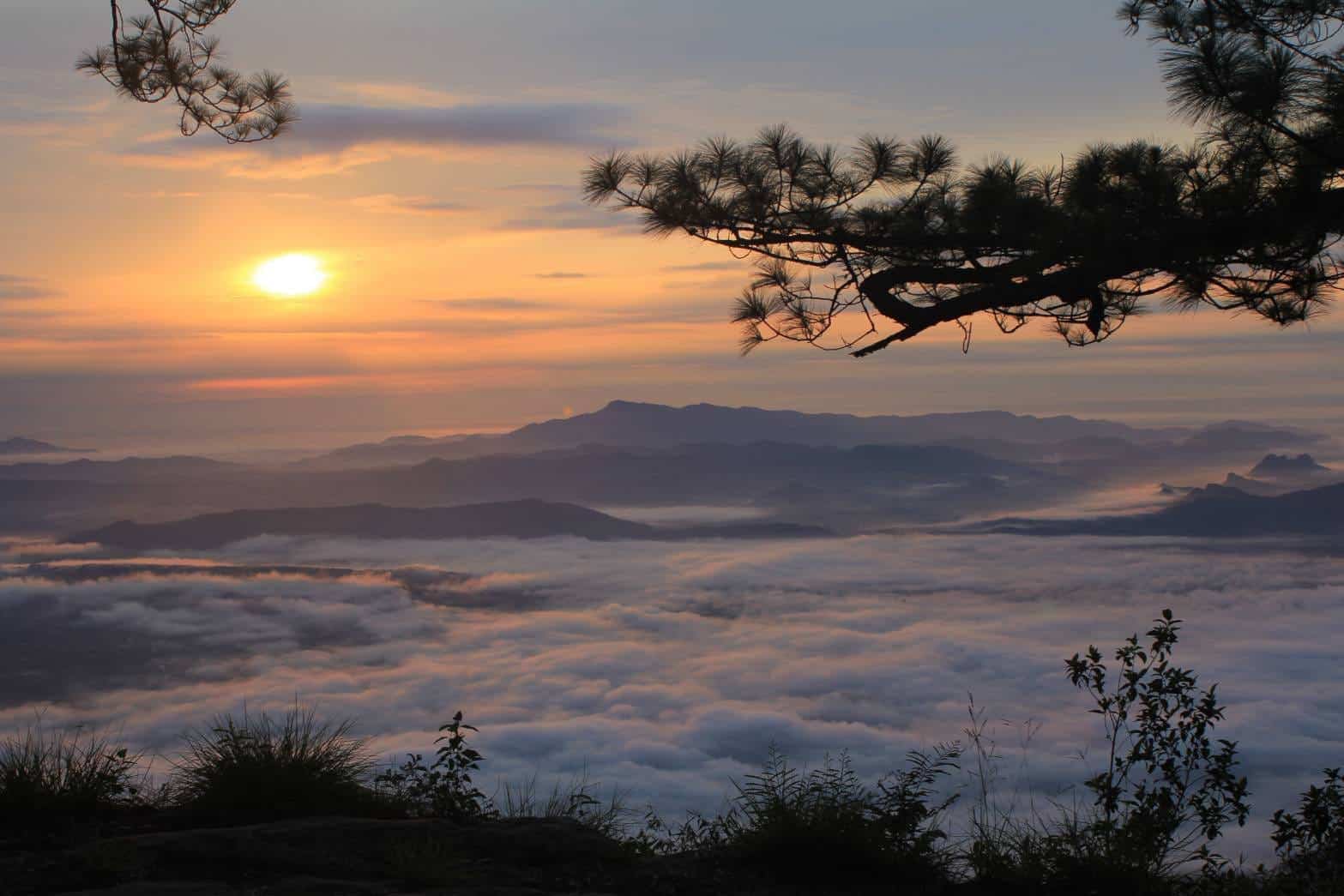 ภูกระดึง เปิดช่วงไหน 2566 จองบ้านพัก ภูกระดึง 2023 เที่ยวปลายปี