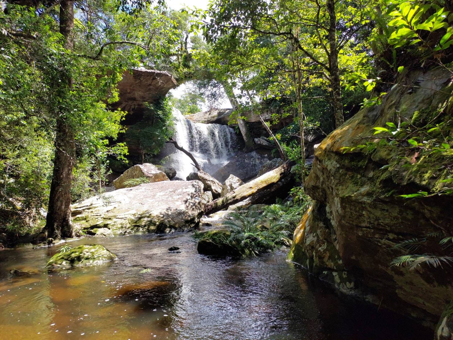 ภูกระดึง เปิดช่วงไหน 2566 จองบ้านพัก ภูกระดึง 2023