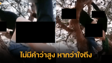 มีเซ็กซ์บนต้นไม้ ข่าวจีน ต่างประเทศ