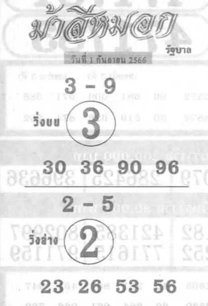 ม้าสีหมอก 1 9 66