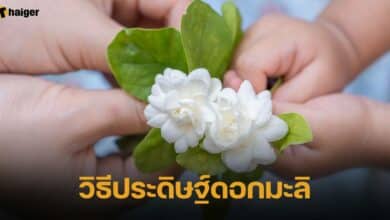 วิธีประดิษฐ์ดอกมะลิ