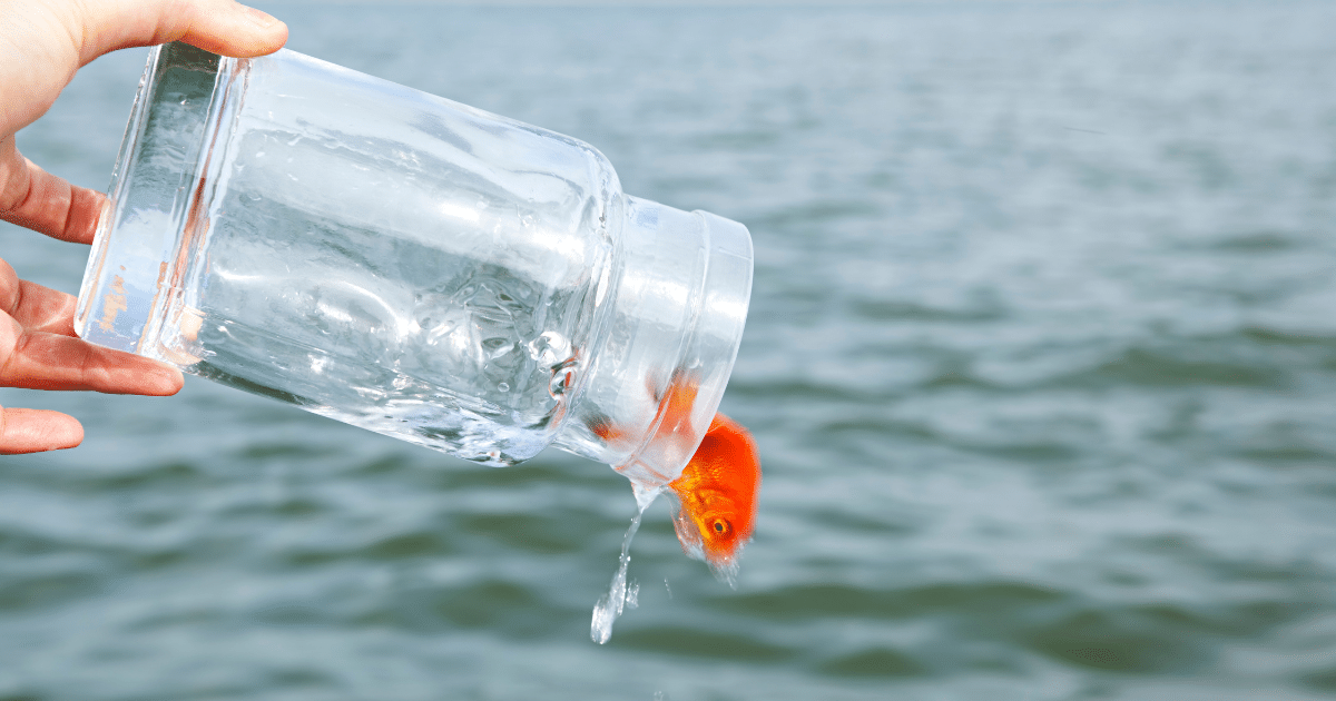 วิธีแก้ดวงตกเรื่องเงิน