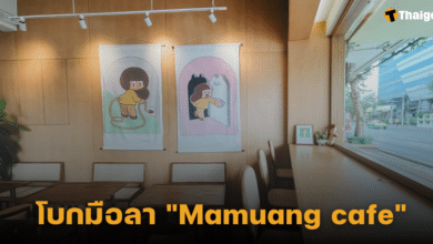 โบกมือลา "Mamuang cafe"