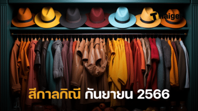 สีกาลกิณี กันยายน 2566