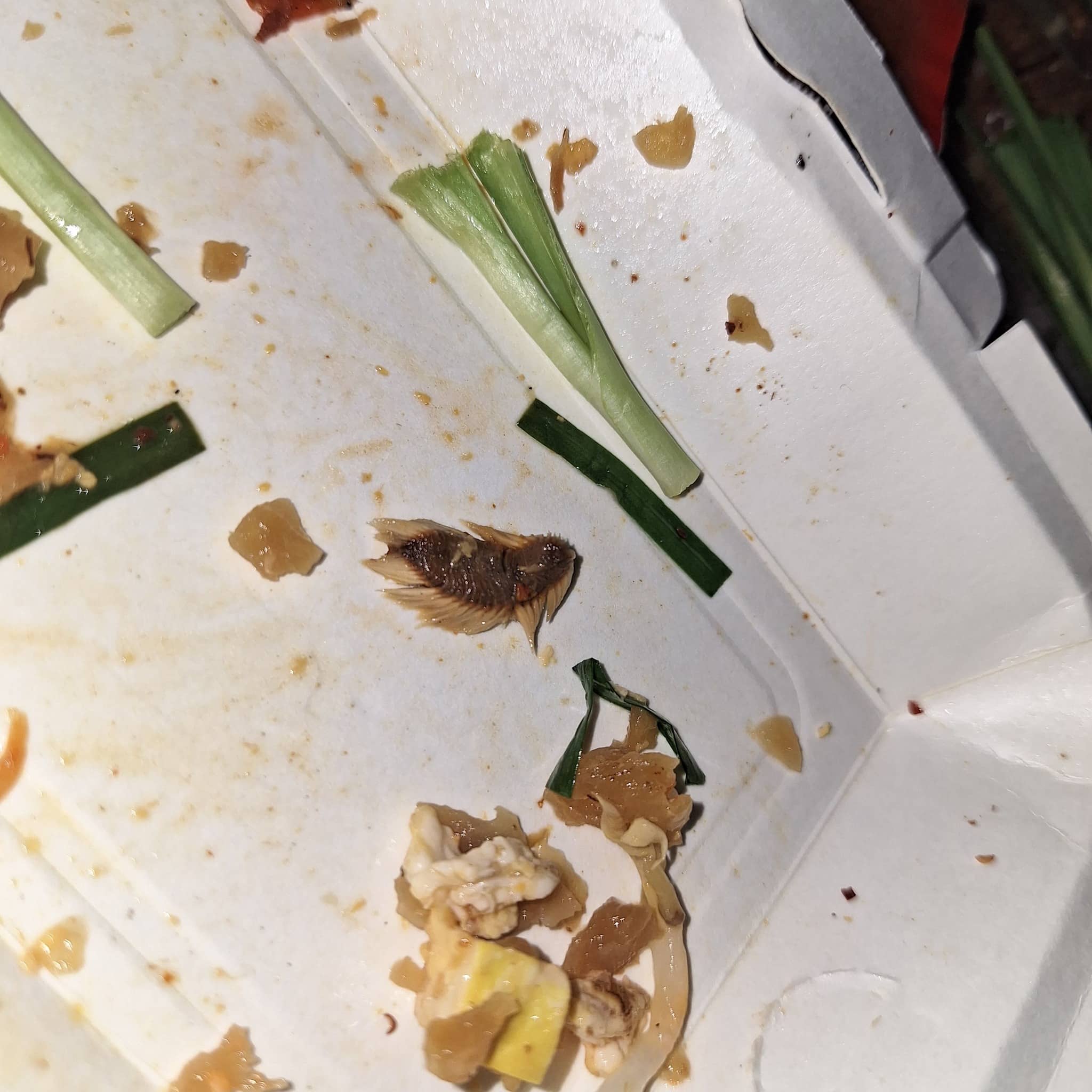 หนอนทะเลในผัดไทย