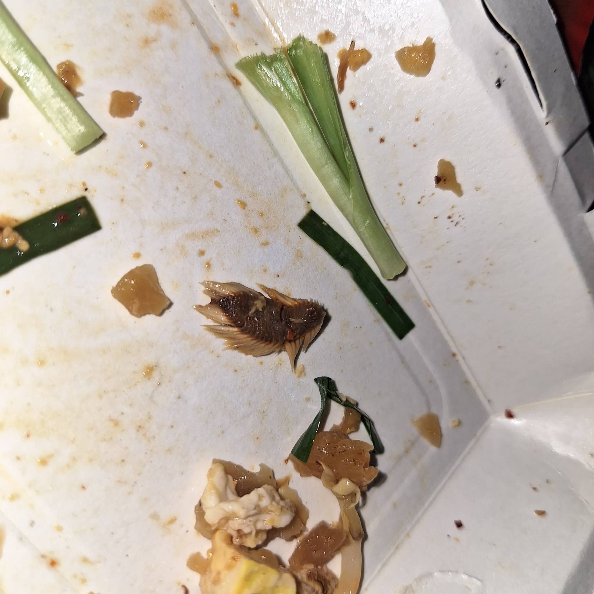 สาวเจอหนอนทะเลในผัดไทย