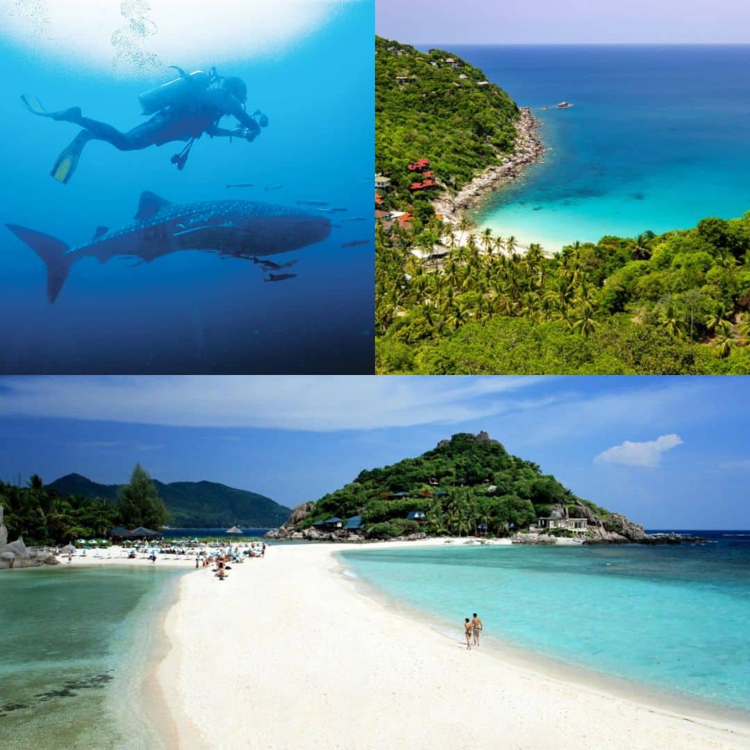 ที่เที่ยวสุราษฎร์ธานี 2023