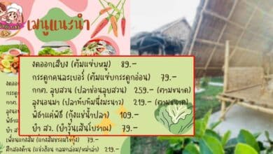 เมนูอาหารล้อการเมือง พิธาเดินเดี่ยว