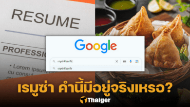 เรมูซ่า คืออะไร