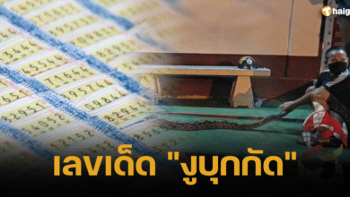 เลขเด็ด _งูบุกกัด_