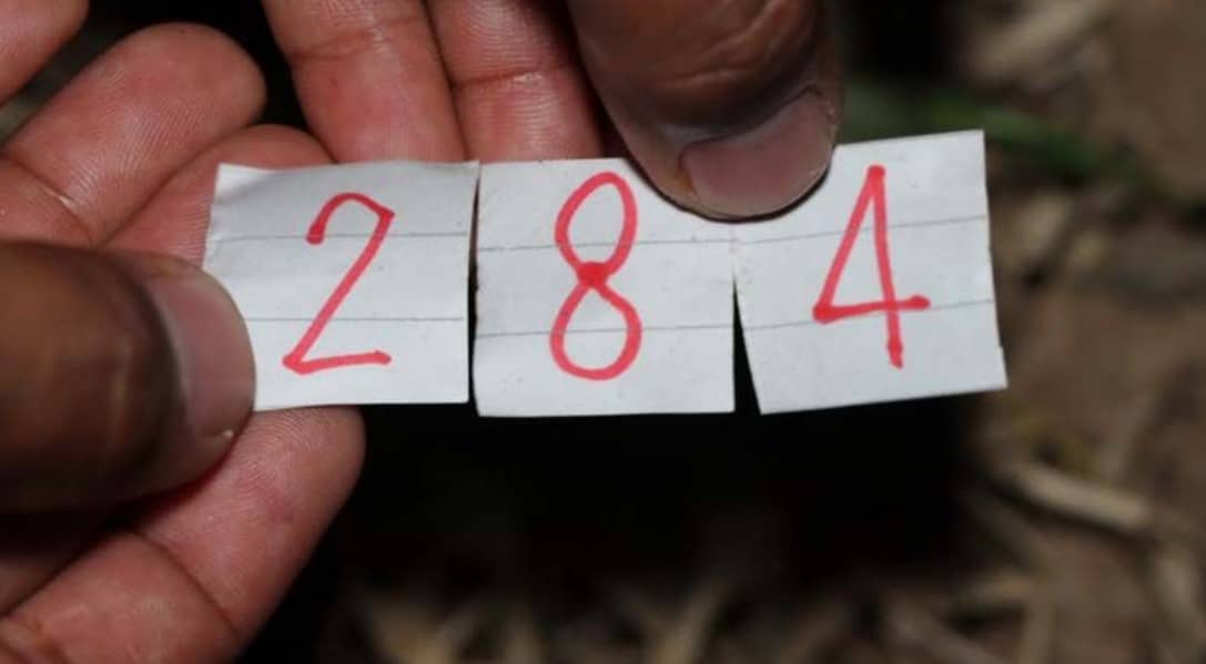 เลขเด็ด พญาบึ้ง 1 9 66