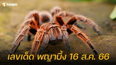 เลขเด็ด พญาบึ้ง 16 8 66