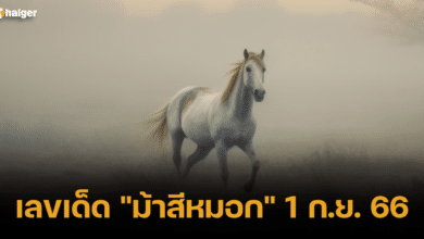 เลขเด็ด ม้าสีหมอก 1 กันยายน 2566
