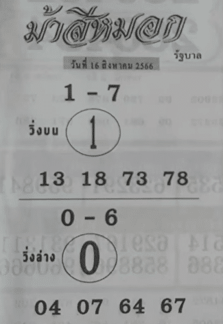 เลขเด็ด ม้าสีหมอก 16 8 66