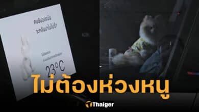 ปกหมารอเจ้าของบน Tesla