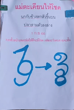 แม่ศรีมณีทอง เลขเด็ด 1 9 66