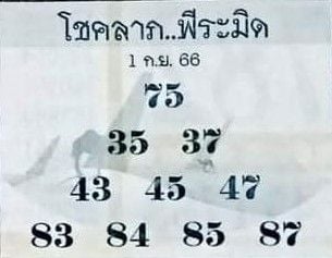 เลขเด็ด โชคลาภ ปิรามิด 1 9 66