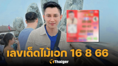 เลขเด็ดไม้เอกนาคา 16 8 66