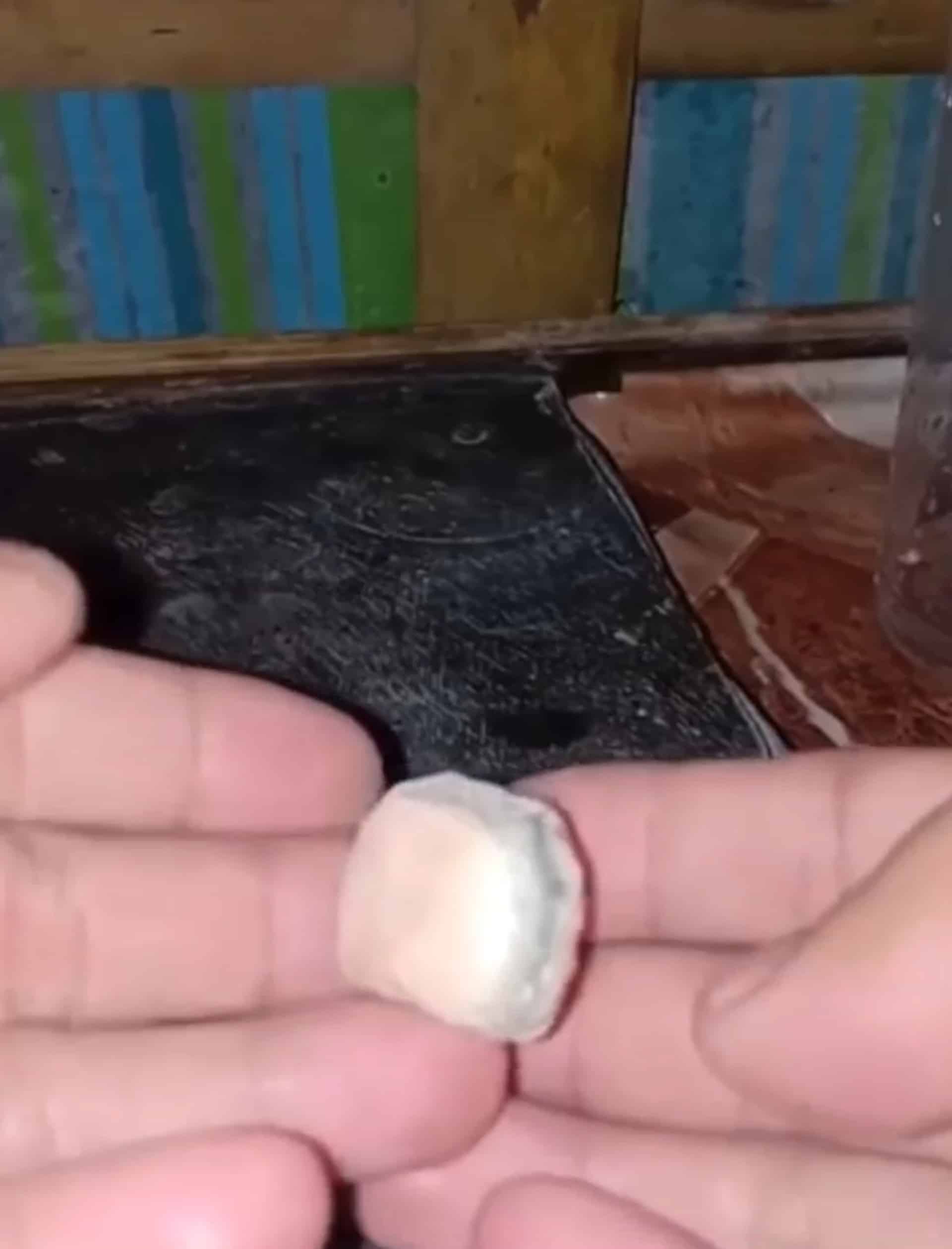 แมงมุมอุ้มอะไร