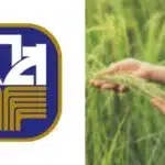 โครงการพักชําระหนี้ธกส 2566