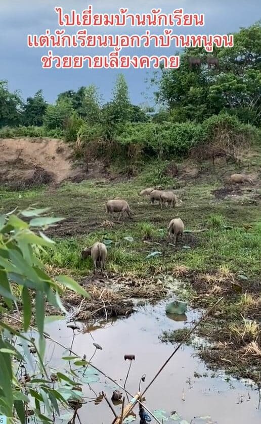 ไปเยี่ยมบ้านนักเรียน