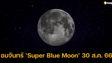 ชมจันทร์ ‘Super Blue Moon’ 30 ส.ค. 66