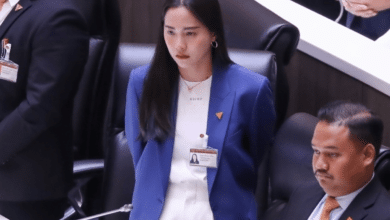 ไอซ์รักชนก โพสต์