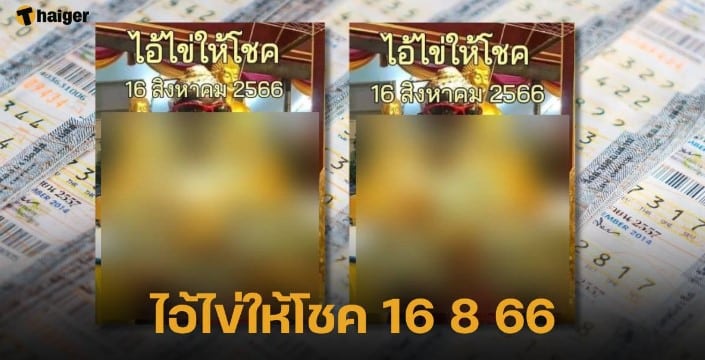 ไอ้ไข่ให้โชค 16 8 66