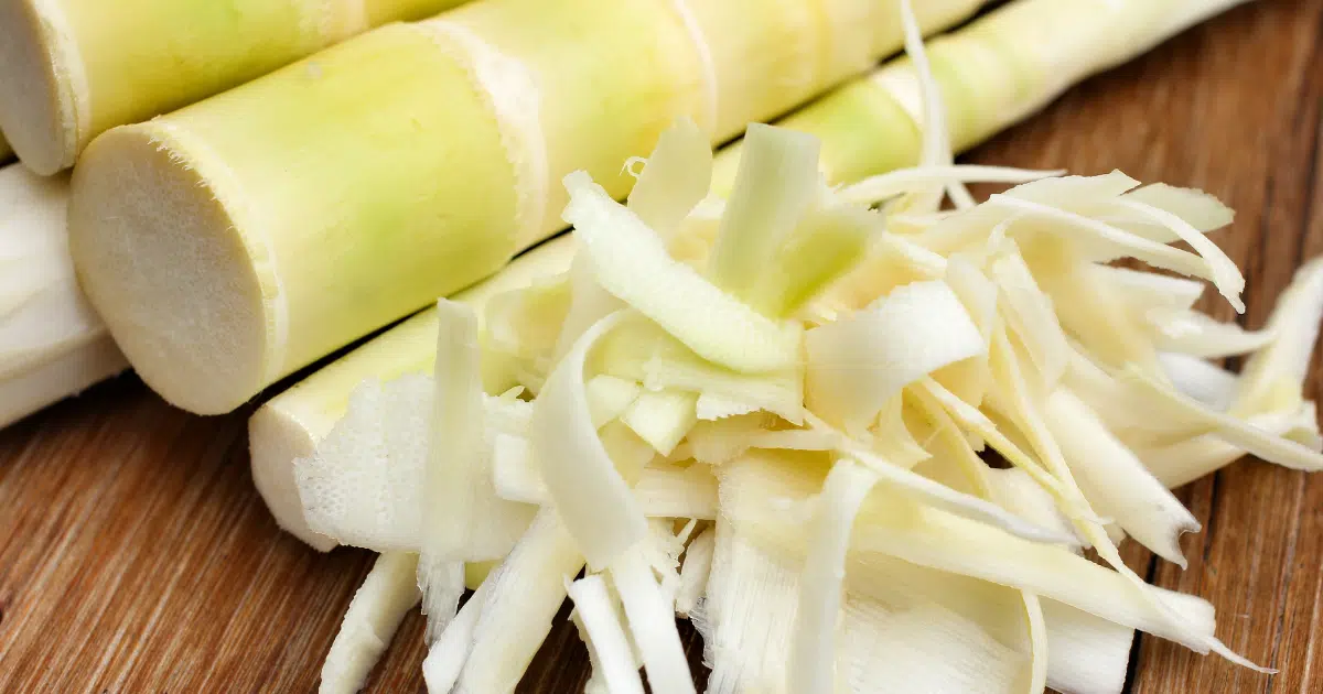 หน่อไม้_ เป็นอาหารแสลงไหม อันตรายรึเปล่า คนป่วยทำไมห้ามกิน