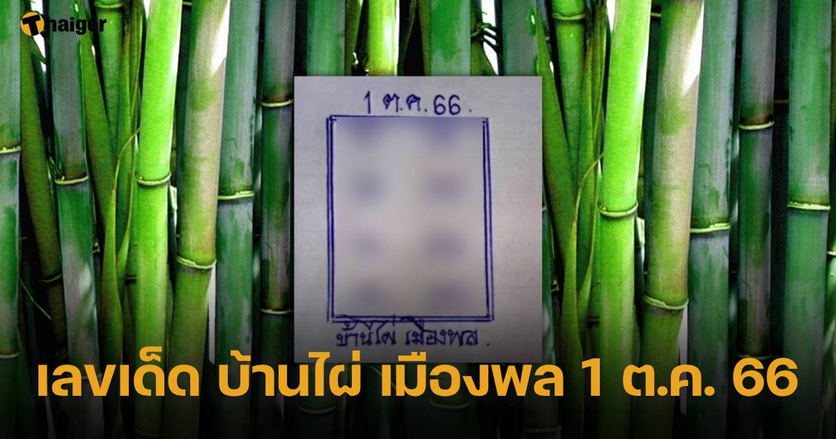 เลขเด็ด บ้านไผ่เมืองพล 1 ต.ค. 66 ส่องแนวทางหวยไทยแม่น ๆ รีบซื้อก่อนอั้น | Thaiger ข่าวไทย