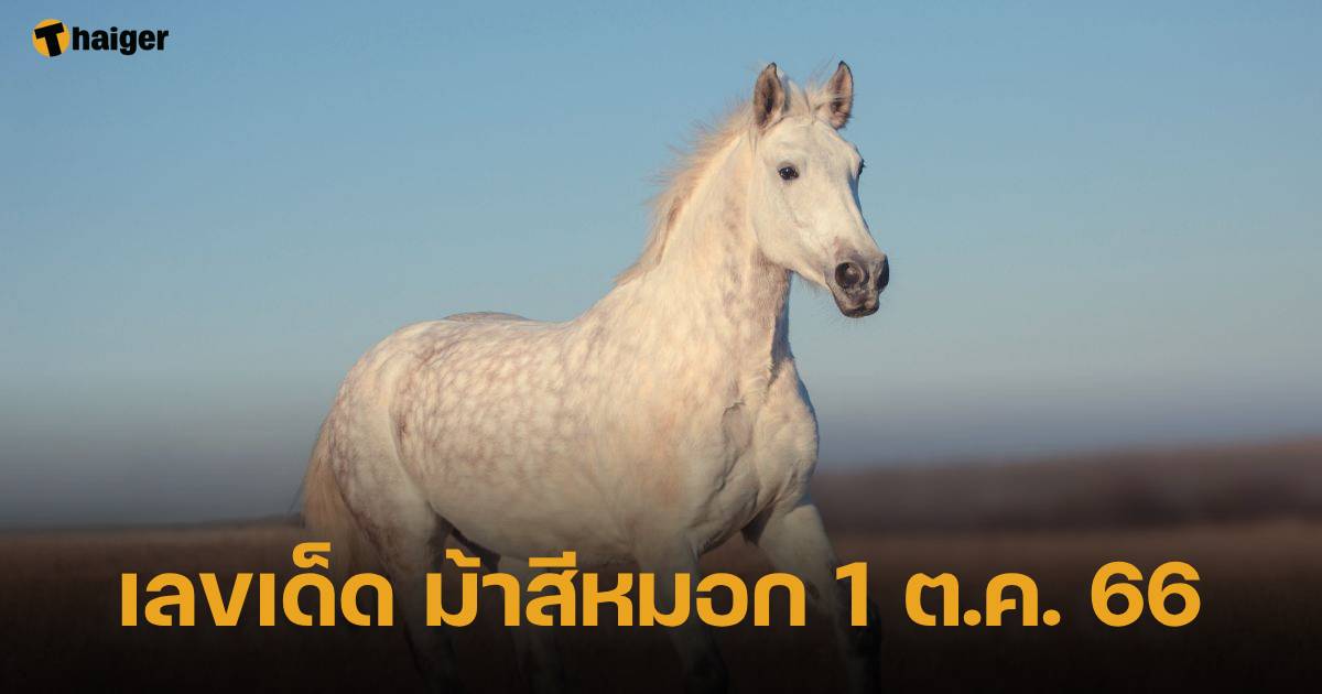 ม้าสีหมอก 1 ต.ค. 66 ควบทะยานมาแจก รับโชคเน้น ๆ ก่อนใคร | Thaiger ข่าวไทย