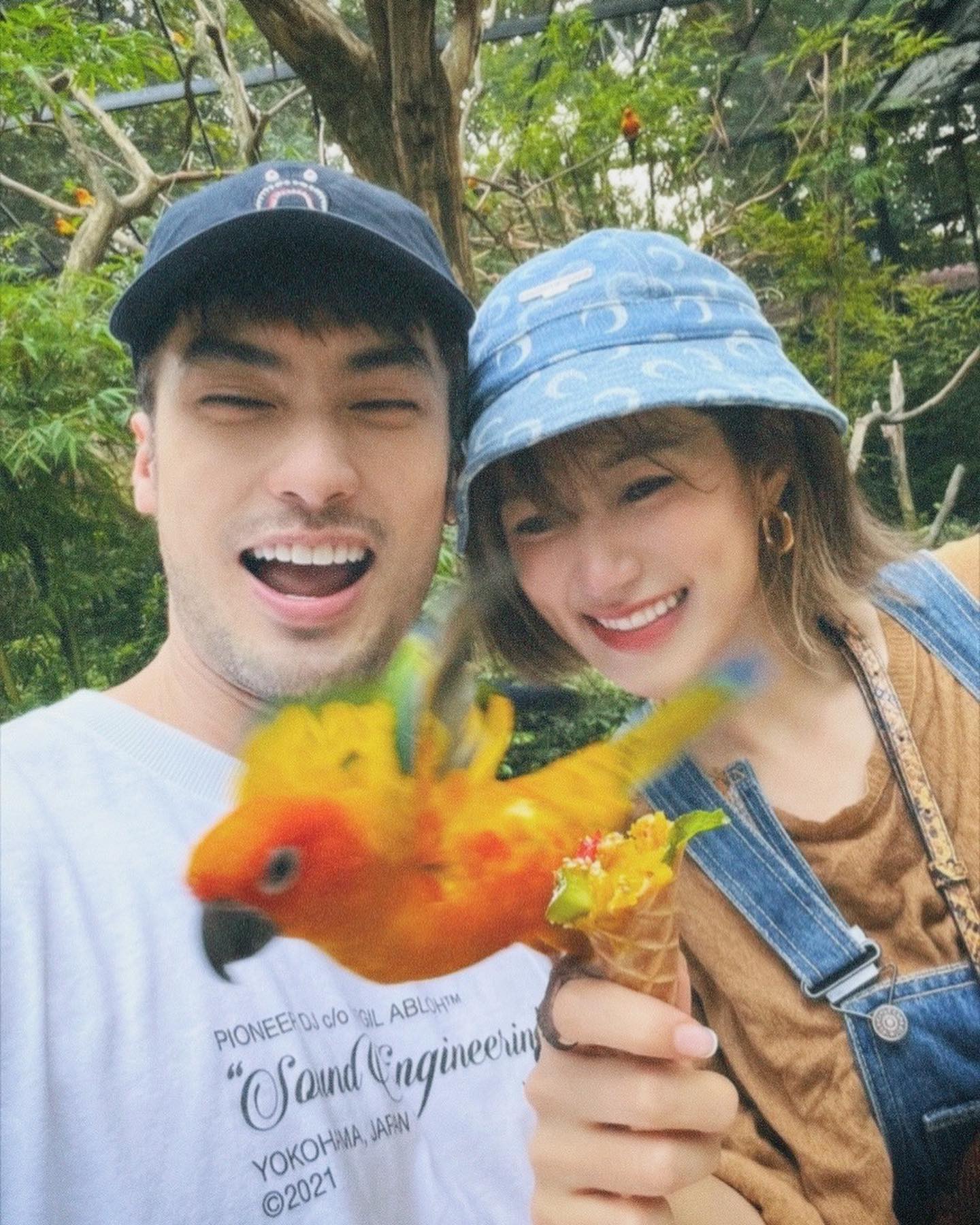 บอย เฟย์