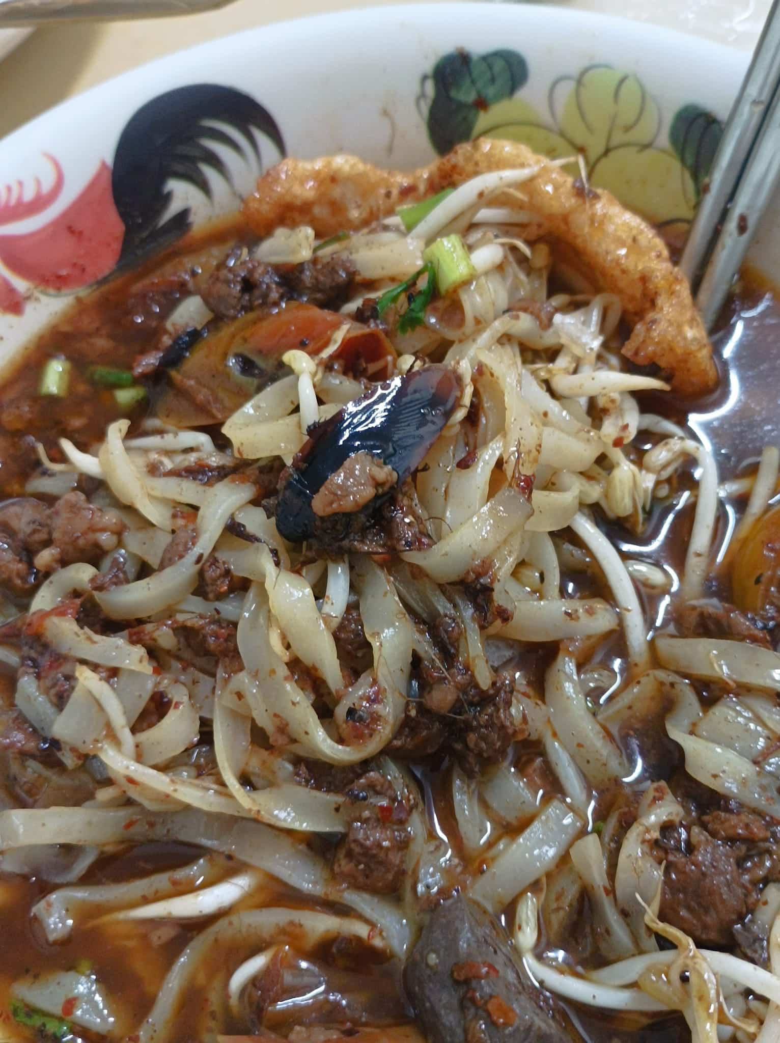 ขนลุก ลูกค้าสาวสั่งน้ำเงี้ยว เจอแมลงสาบ แจ้งทางร้านแล้ว ไม่มีคำขอโทษ