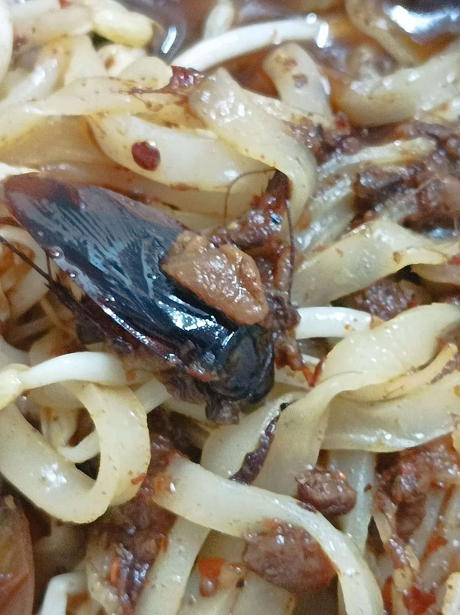 ขนลุก ลูกค้าสาวสั่งน้ำเงี้ยว เจอแมลงสาบ แจ้งทางร้านแล้ว ไม่มีคำขอโทษ