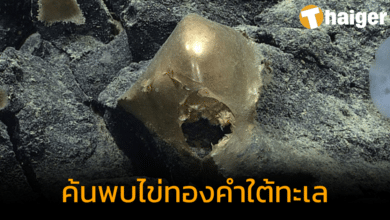 ค้นพบวัตถุสีทอง คล้ายไข่ทองคำ ใต้ทะเลนอกชายฝั่งอะแลสกา