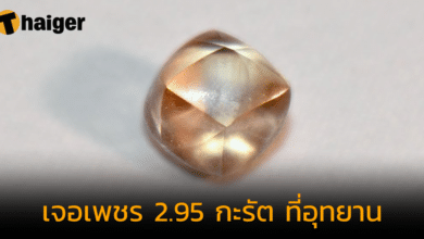 เด็กหญิงดวงเฮง เจอเพชร 2.95 กะรัต ขณะเที่ยวอุทยานที่สหรัฐฯ