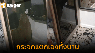 สาวสุดช็อก กระจกแตกเองทั้งบาน คาดสาเหตุ เกิดจากภาวะกระจกเครียด