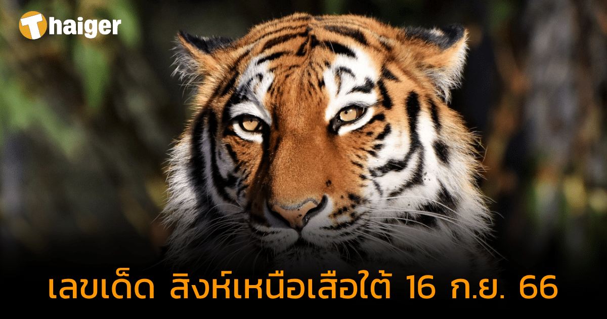 แจกเลขเด็ด "หวยสิงห์เหนือเสือใต้" จะเลขทิศไทยก็รวยได้ ลุ้นหวยงวด 16 ก.ย. 66