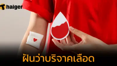 ฝันว่าบริจาคเลือด เปิดคำทำนายจากฝันทำความดี ตีเลขเด็ดนำโชค