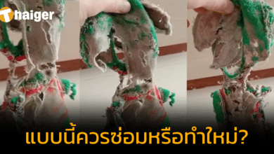 ถึงกับอึ้ง ช่างซ่อมตุ๊กตา ฟื้นชีพตุ๊กตา แทบไม่ใช่งานซ่อม แต่เป็นงานทำใหม่