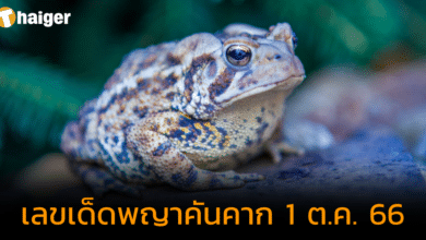 แจกเลขเด็ด "พญาคันคาก" ปล่อยเร็วไว แถมให้เลขเบิ้ล หวยงวด 1 ต.ค. 66