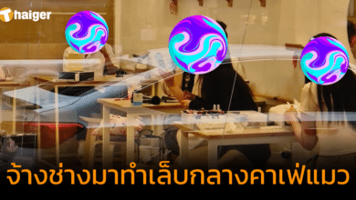 เจ้าของเหนื่อยใจ ลูกค้าจ้างช่างมาทำเล็บกลางคาเฟ่แมว เปิดร้านมา 7 ปี เพิ่งเคยเจอ